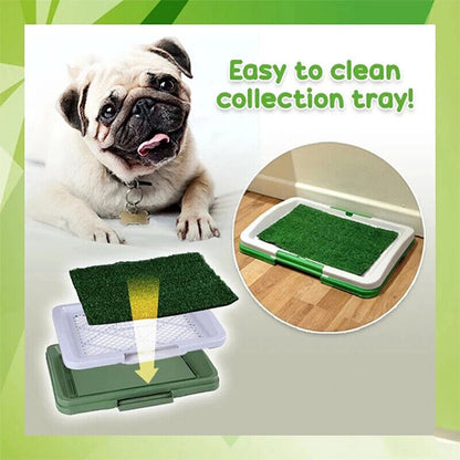 Pet Dog Toilet Mat – Indoor Potty Training Grass Tray