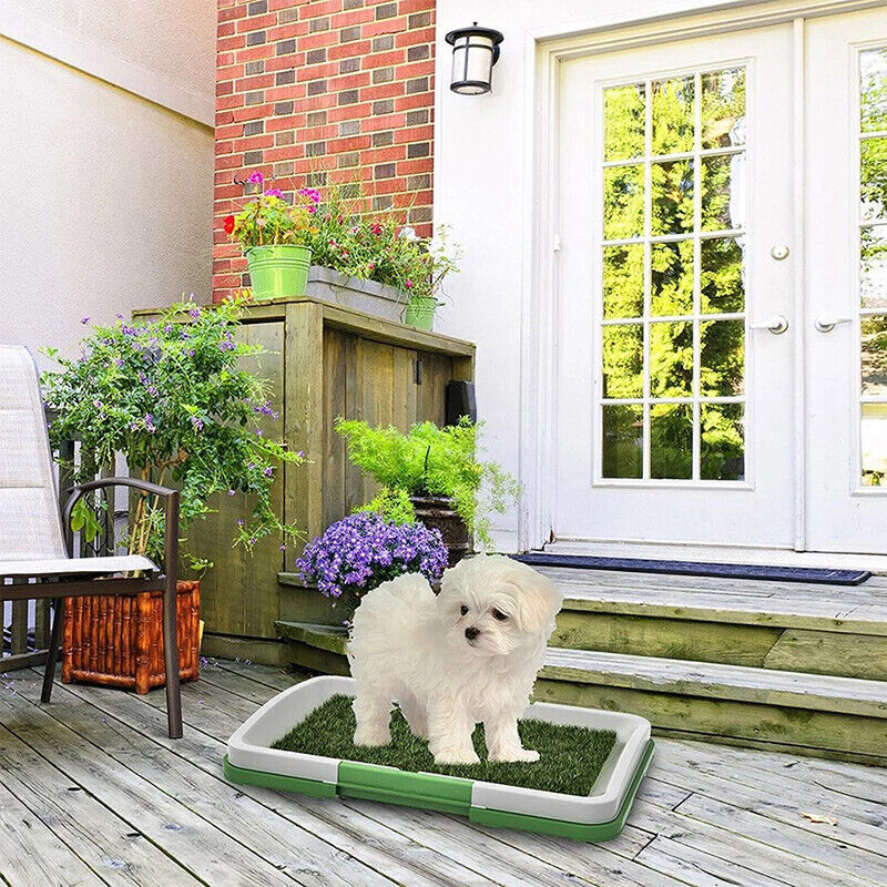 Pet Dog Toilet Mat – Indoor Potty Training Grass Tray