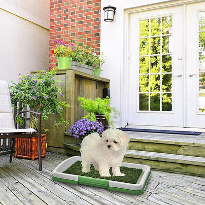 Pet Dog Toilet Mat – Indoor Potty Training Grass Tray