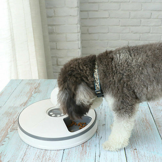 Automatic 6-Meal Pet Feeder – Timed Dispenser for Cats & Dogs