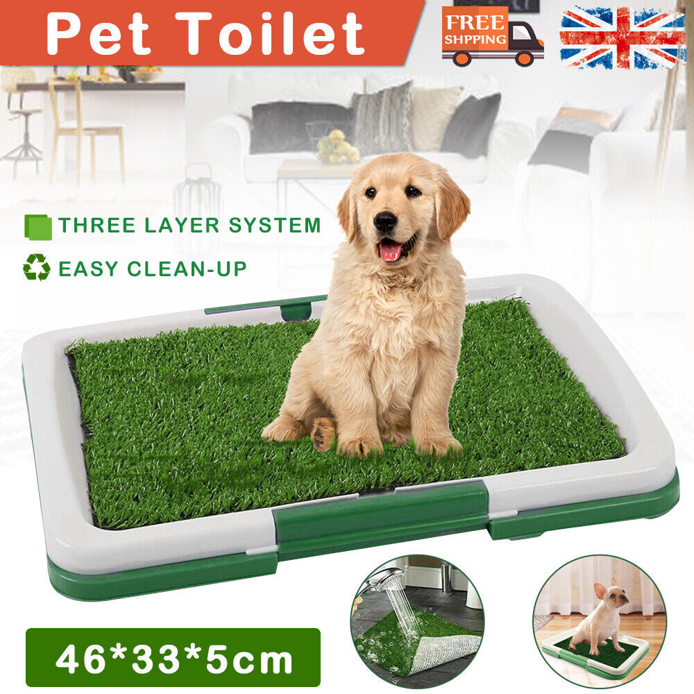 Pet Dog Toilet Mat – Indoor Potty Training Grass Tray