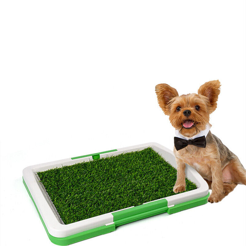 Pet Dog Toilet Mat – Indoor Potty Training Grass Tray